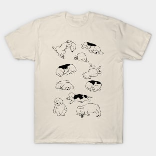 More Sleep Beagle T-Shirt